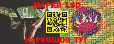 spice Волгодонск