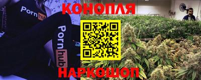 spice Волгодонск