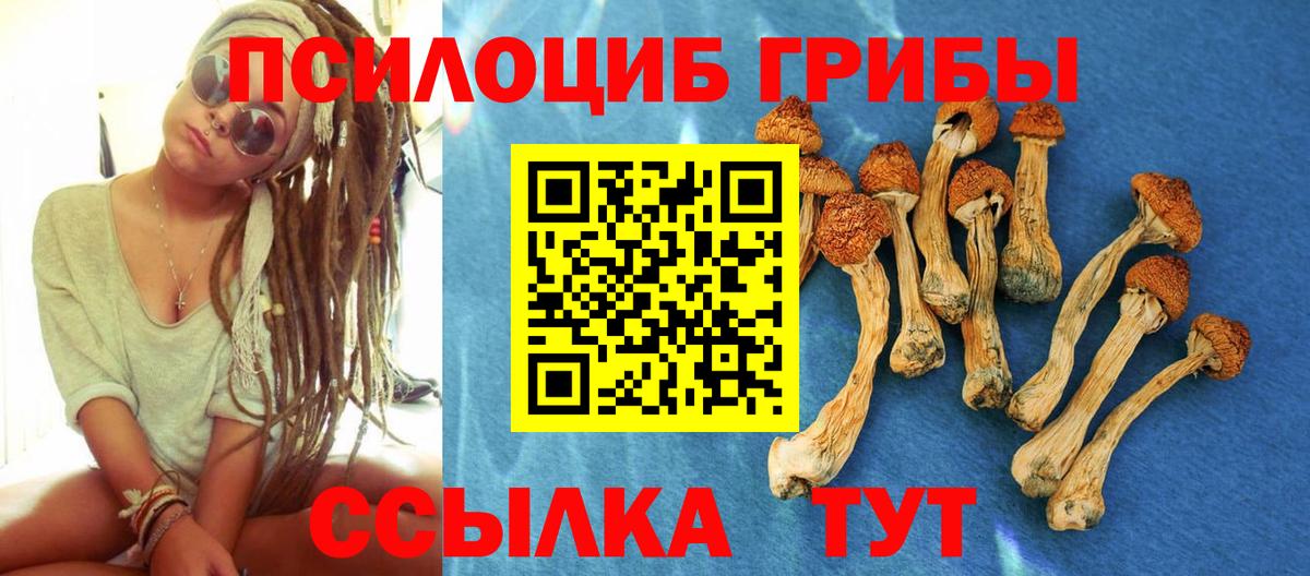 Псилоцибиновые грибы GOLDEN TEACHER  Вход с VPN  Псилоцибиновые грибы GOLDEN TEACHER  Новодвинск 